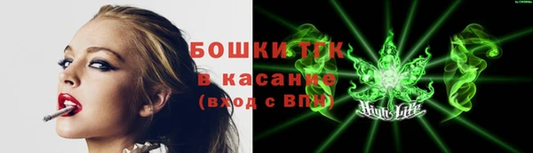 PSILOCYBIN Балахна