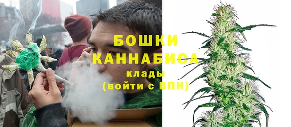 сатива Балабаново