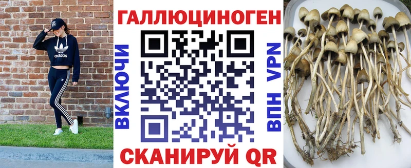 гидра как войти  Вятские Поляны  Галлюциногенные грибы GOLDEN TEACHER  сколько стоит 