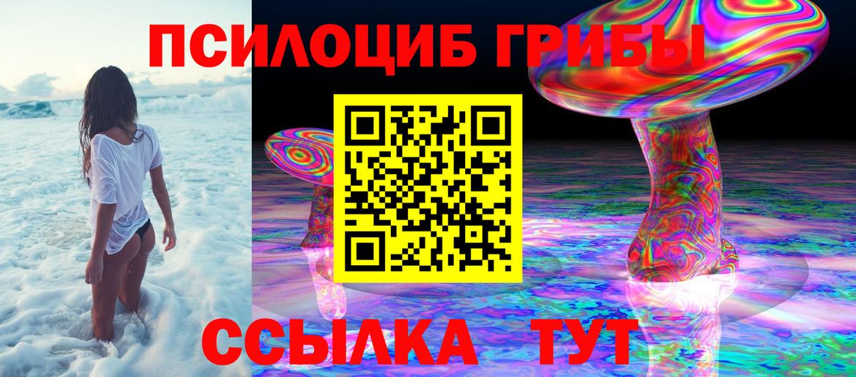 Галлюциногенные грибы Psilocybe Вятские Поляны