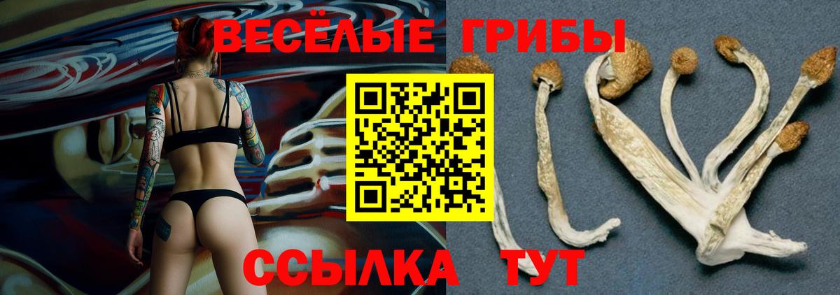 Галлюциногенные грибы ЛСД  Вход с VPN  сколько стоит  Вятские Поляны  Галлюциногенные грибы мицелий 