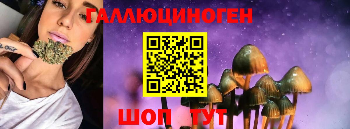 Вятские Поляны  Галлюциногенные грибы GOLDEN TEACHER  Вход с VPN 